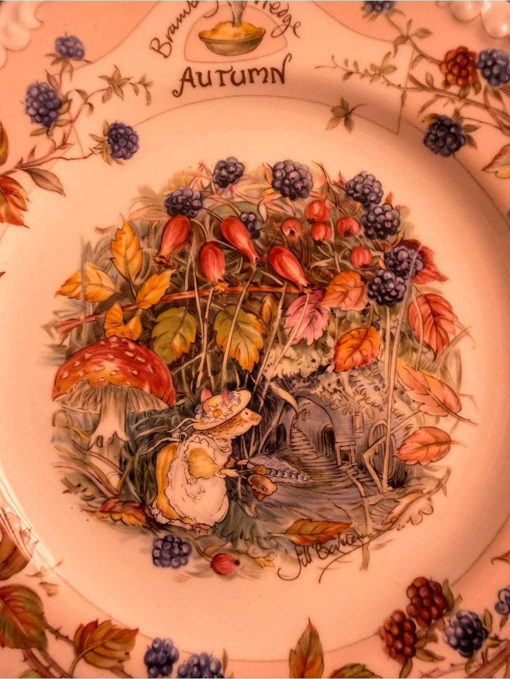 Royal Doulton Brambly Hedge Autumn Plate - White, Red, Blue, Gold